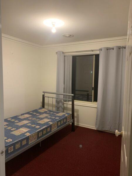 One bedroom available for rent in Bundoora!!!