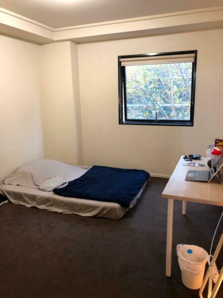 A girl needed in cbd hotel apartment $140pw bills inc