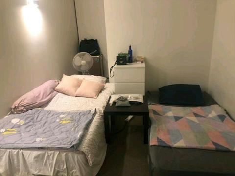 Share room for woman $170Pw flinder St