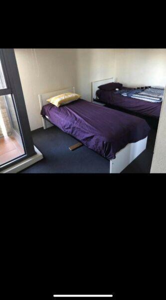 Sydney CBD Twin Room Looking for 1 or 2 sharemates