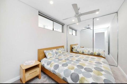 North Bondi Room For Rent