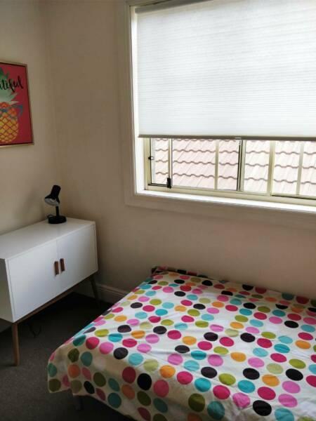 Cosy student room for rent in Kingsford $260 pw