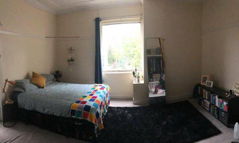 Randwick - 1 private bedroom for rent