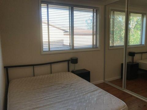 Room for Rent - ROOTY HILL!