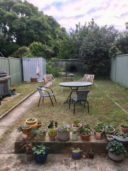 Large room for rent in Ashfield