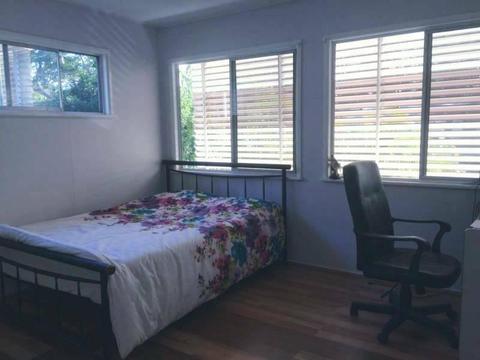 Large room for rent at Mansfield