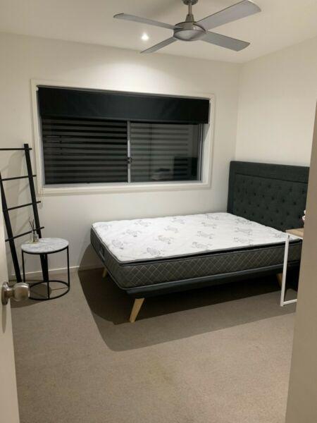 Bedroom For Rent