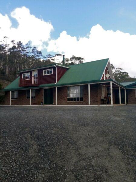 Share house available $230 pw