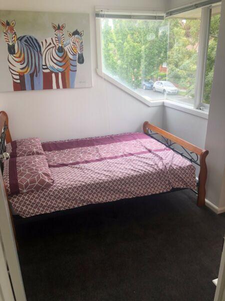 1 double room in a 2 bedroom flat