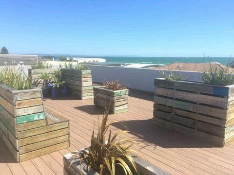 Room for rent right near Aspendale beach $870 pm
