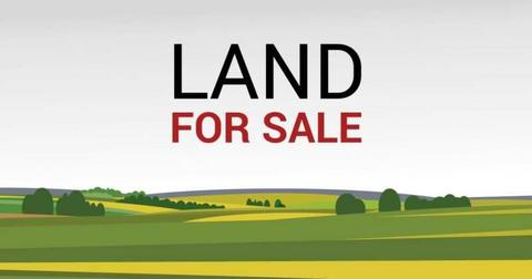 LAND FOR SALE BY NOMINATION . SETTLEMENT IN MARCH 2020
