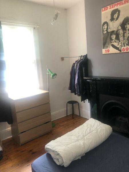 Room for rent - Chippendale