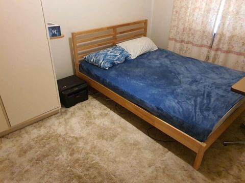 Single bedroom for rent - Malvern East ( Holmesglen Campuses )