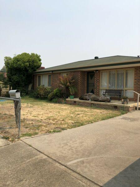 Three bedroom brick veneer home for sale in Albury NSW