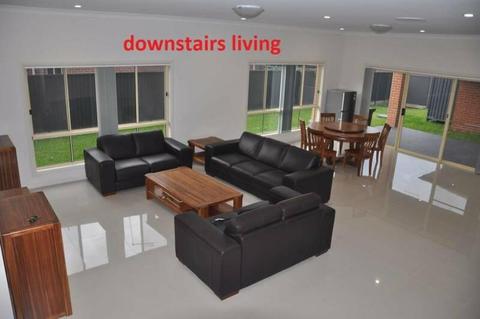 Rooms in Norwest Business Park $140 (walk to Norwest Sation)