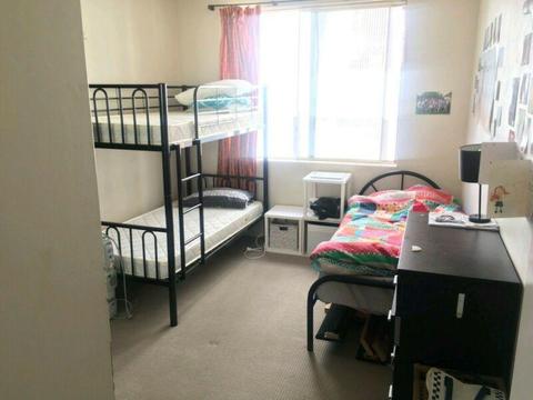 ROOMSHARE near UTS and CENTRAL ST