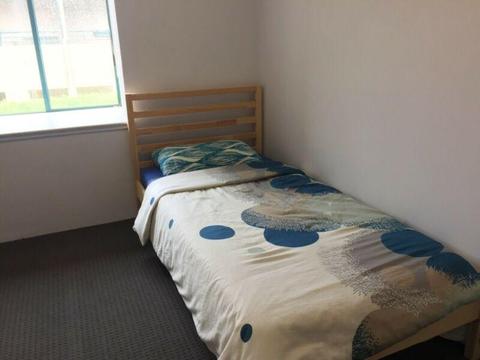 Twin Share Room in Newtown for one Male