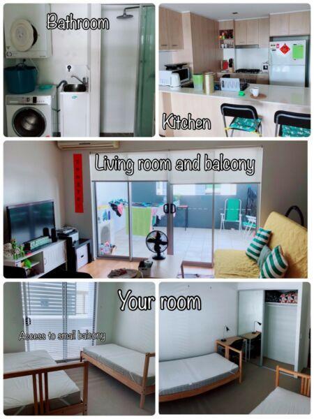 Private room for rent in Brisbane Southbank apartment