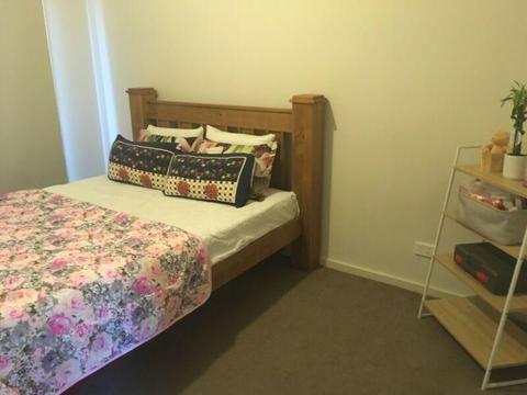 Room for rent in tarneit $500