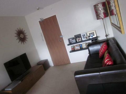 Fab, furnished 2 bed apartment in funky Glebe