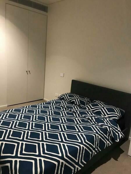 SHORT TERM ROOM IN THE CBD (2 - 10 March)