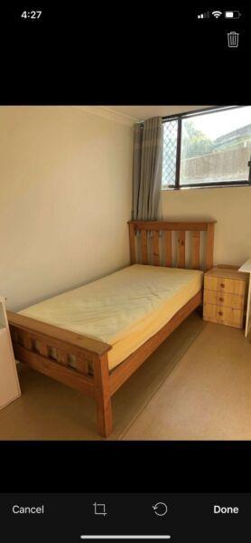 Bright Rooms for Rent in Hurstville