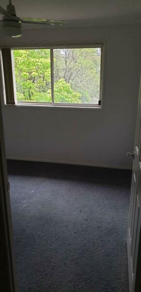 2 Rooms In Perfect Pacifc Pines For Rent