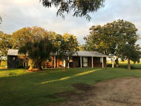 Room for rent In ForestHill near UQ