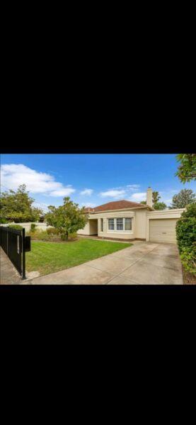 Rooms for rent in Edwardstown and Mitchell Park