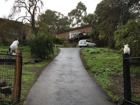 STUNNING HOUSE SHARE IN NORTH WARRANDYTE SANCTUARY
