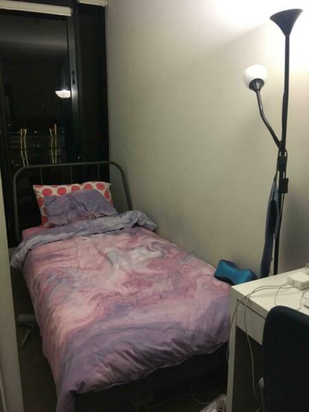 city looking for one or two girl for master room