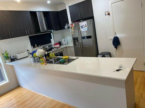 Room to rent in a shared house Tarneit