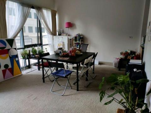 Single Bed in a Beautiful Apartment in the CBD (Girls Only)