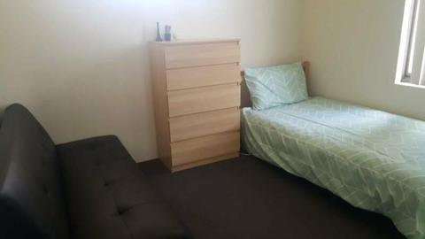 Single room for rent in Belmont area share house