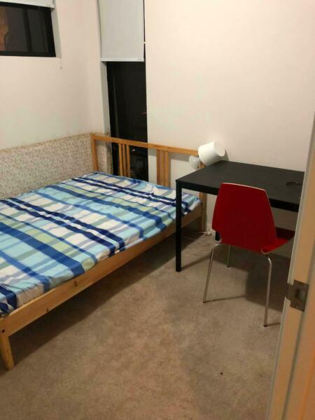 Single room to rent