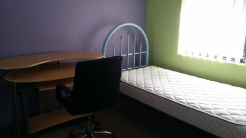 One single room for rent in Belmont (Belmont 区一单间出租）