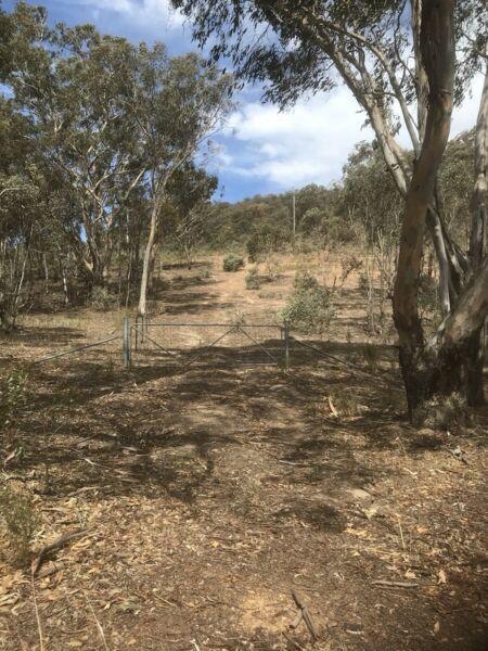 LAND RURAL ACREAGE 5 ACRES MUDGEE 3HRS FROM SYDNEY