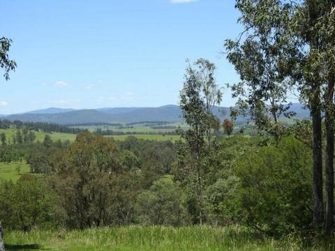 Land For Sale - 200 acres in the Northern Rivers of NSW