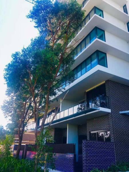 2 bed 2bath 1car apartment at 8063 7 bennelong parkway wentworth point