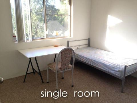 Marsfield single room for rent