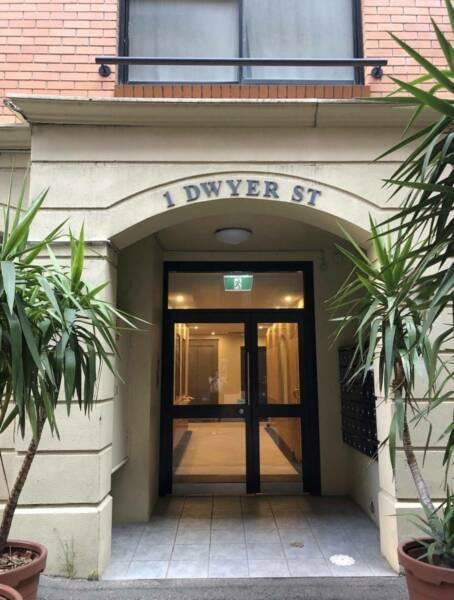 Furnished Studio in Chippendale $450