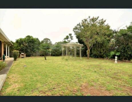 Property Moorebank 4 bedroom for rent