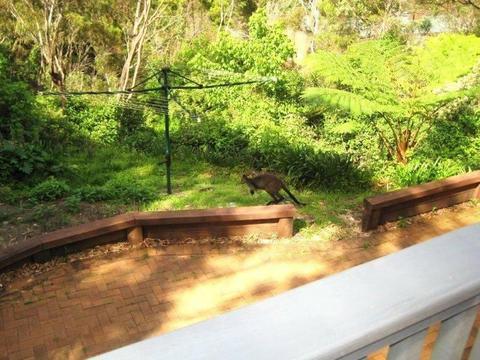 Private large studio, tranquil bush setting, furnished, pet friendly