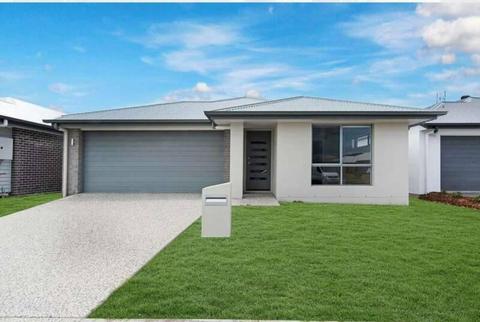 INSPECTION SATURDAY 7TH MARCH 4PM 12 FICUS DR PALMVIEW. AVAILABLE 16TH