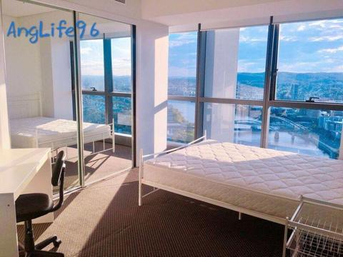 Renting out one Meriton master room $320/week