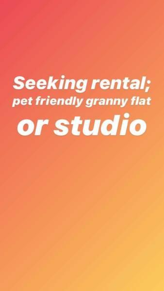 Seeking pet friendly rental Mermaid, Burleigh, Miami or Tallebudgera