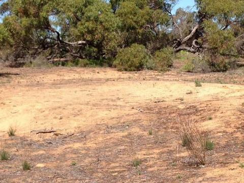 TAILEM BEND 75 ACRES LAND FOR RENT RECREATIONAL USE $ 150 PW