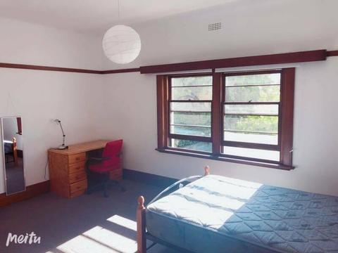Sunny Furnished Main -bedroom close to UTAS , Coles & Woolworths