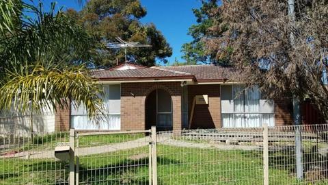 For Rent - Armadale 3 x 1 House $295 per week
