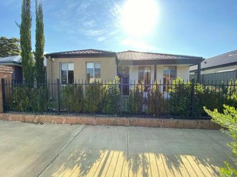 New modern 3 Bedroom 2 Bathroom house available for Rental in Byford